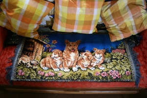 It's worth a close-up of the corgis on the settee under the window!