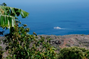 Friday Oct 18.  The RMS St Helena passes by the bottom of "our" valley on the way back to Cape Town.